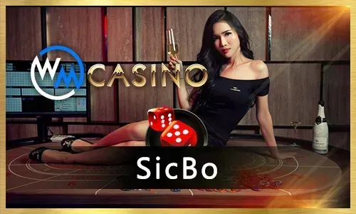 Play sz777 Bingo on the Go with Our Mobile App